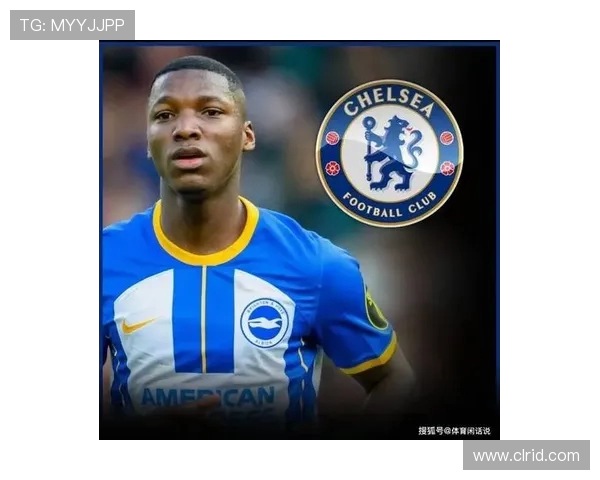 孔特球探分析：适合8号位的球员身体条件不适合担任防守型后腰